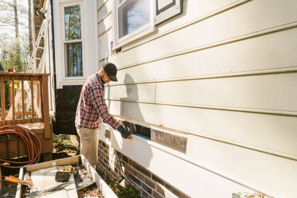 Top rated local Siding Replacement specialists in Jonesboro, IL